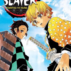 Demon Slayer: Kimetsu no Yaiba, Vol. 3 (Demon Slayer: Kimetsu no Yaiba) [Paperback]