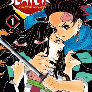 Demon Slayer: Kimetsu no Yaiba, Vol. 1 (Demon Slayer: Kimetsu no Yaiba) [Paperback]
